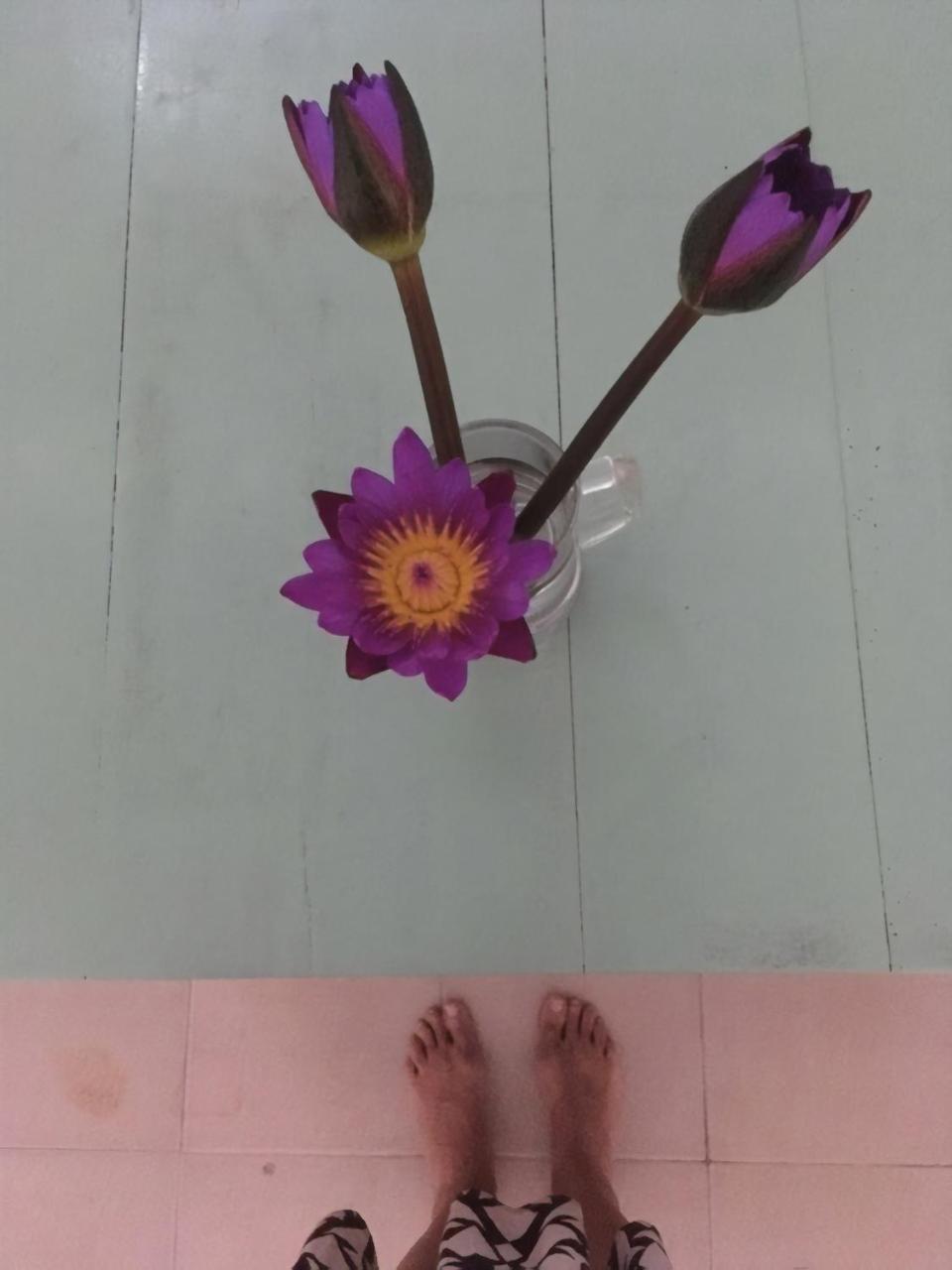 Layback Boutique Surf & Yoga Camp Sri Lanka Weligama Exterior foto
